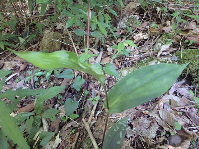 f0334143_812810.jpg