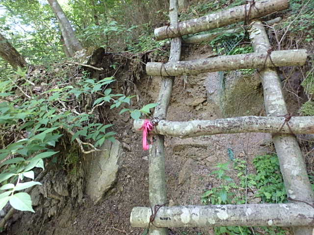 f0334143_823826.jpg