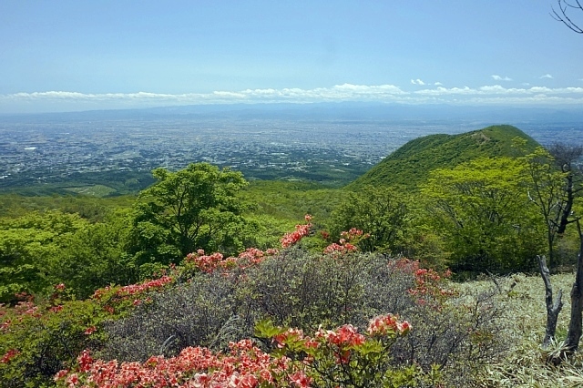 b0122448_19565545.jpg