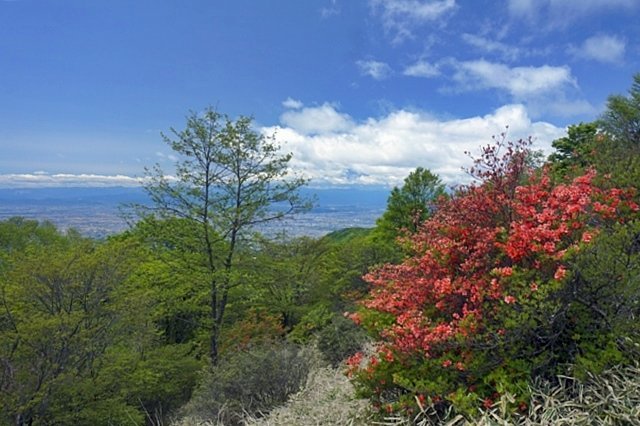 b0122448_20215621.jpg