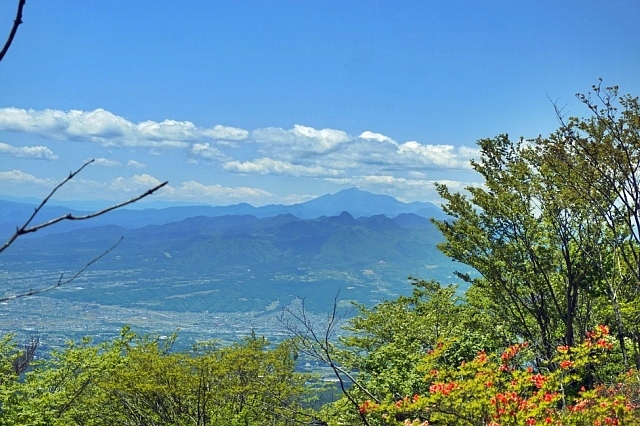 b0122448_20265024.jpg
