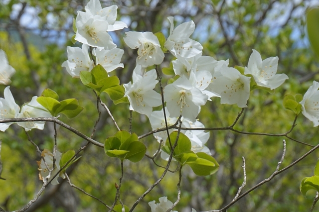 b0122448_20275364.jpg