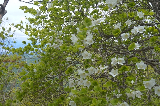 b0122448_20281685.jpg