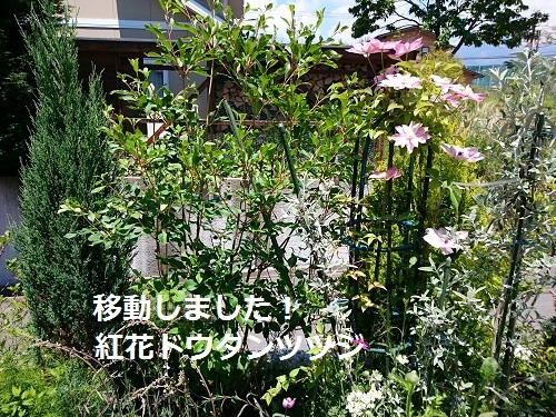 d0306248_23061130.jpg