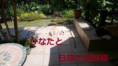 d0306248_23165091.jpg