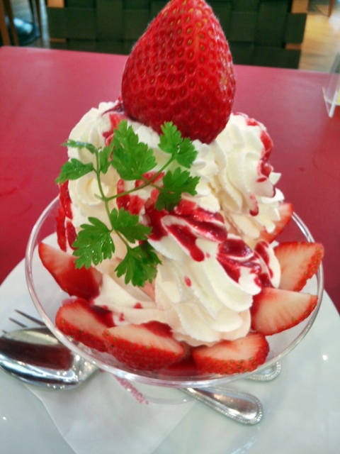 b0009849_1562876.jpg