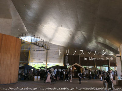 a0286855_06160866.jpg
