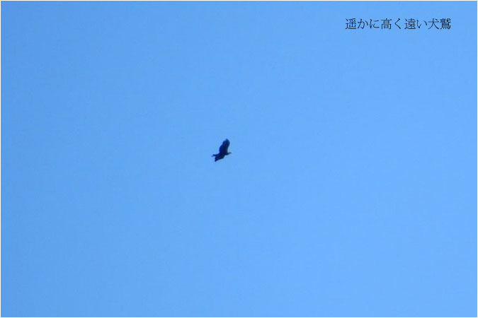 c0061761_711445.jpg