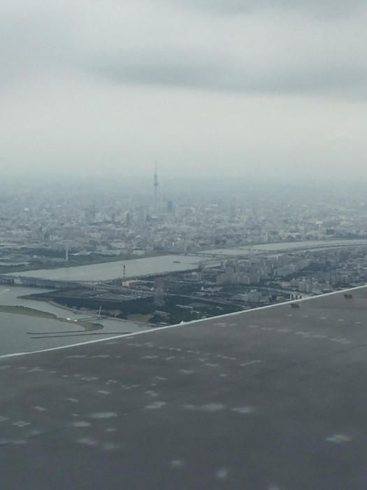 d0152261_17330402.jpg