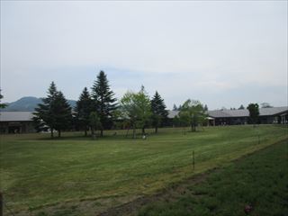 d0045362_10391655.jpg