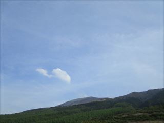 d0045362_10393869.jpg