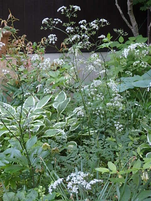 e0017562_09594033.jpg