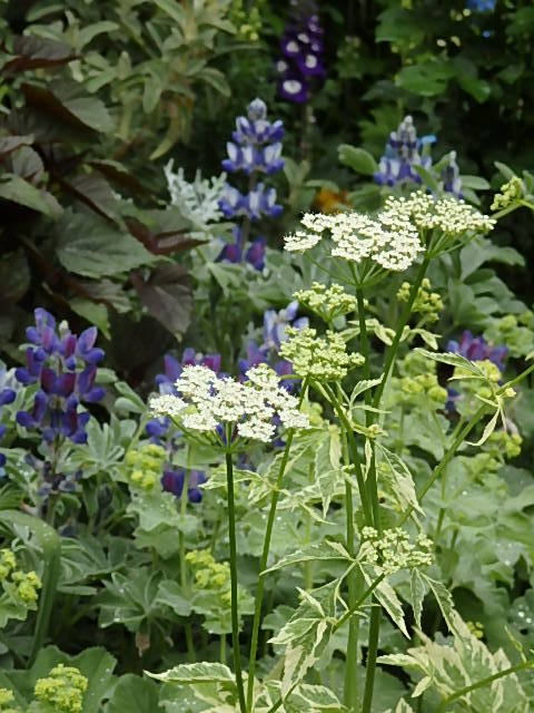 e0017562_10020437.jpg