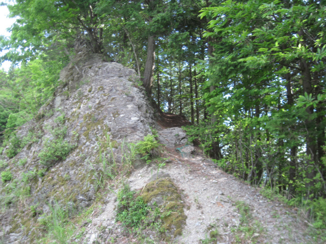 c0219866_17135372.jpg