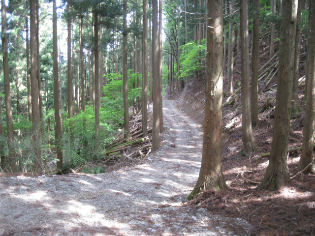 c0219866_17220253.jpg