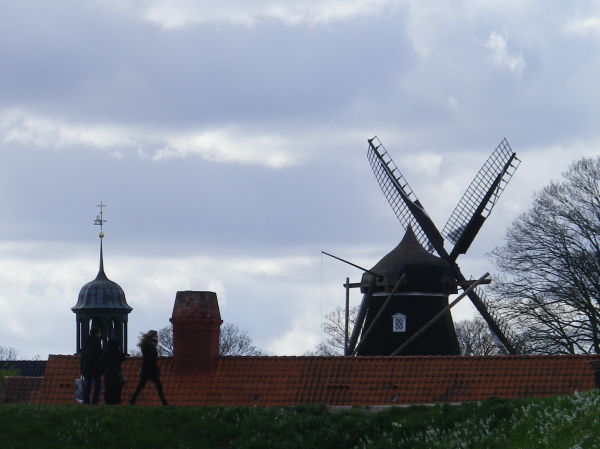 f0061067_22332887.jpg
