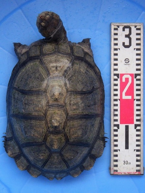 c0105569_00154797.jpg