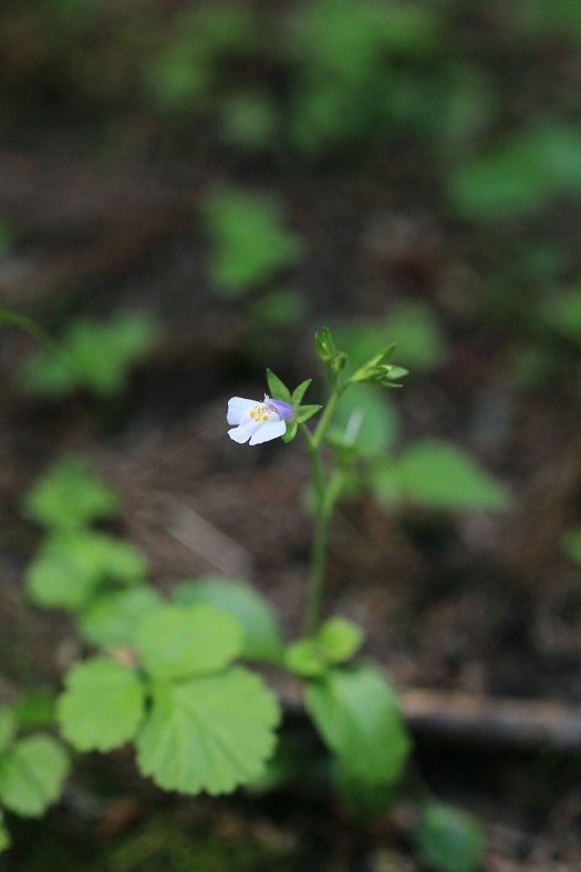 e0304170_19093776.jpg