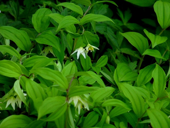 d0084473_2015650.jpg