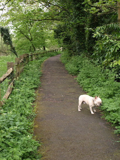 d0041074_08400200.jpg