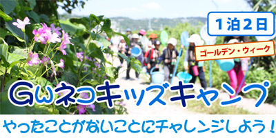 d0363878_18131133.jpg