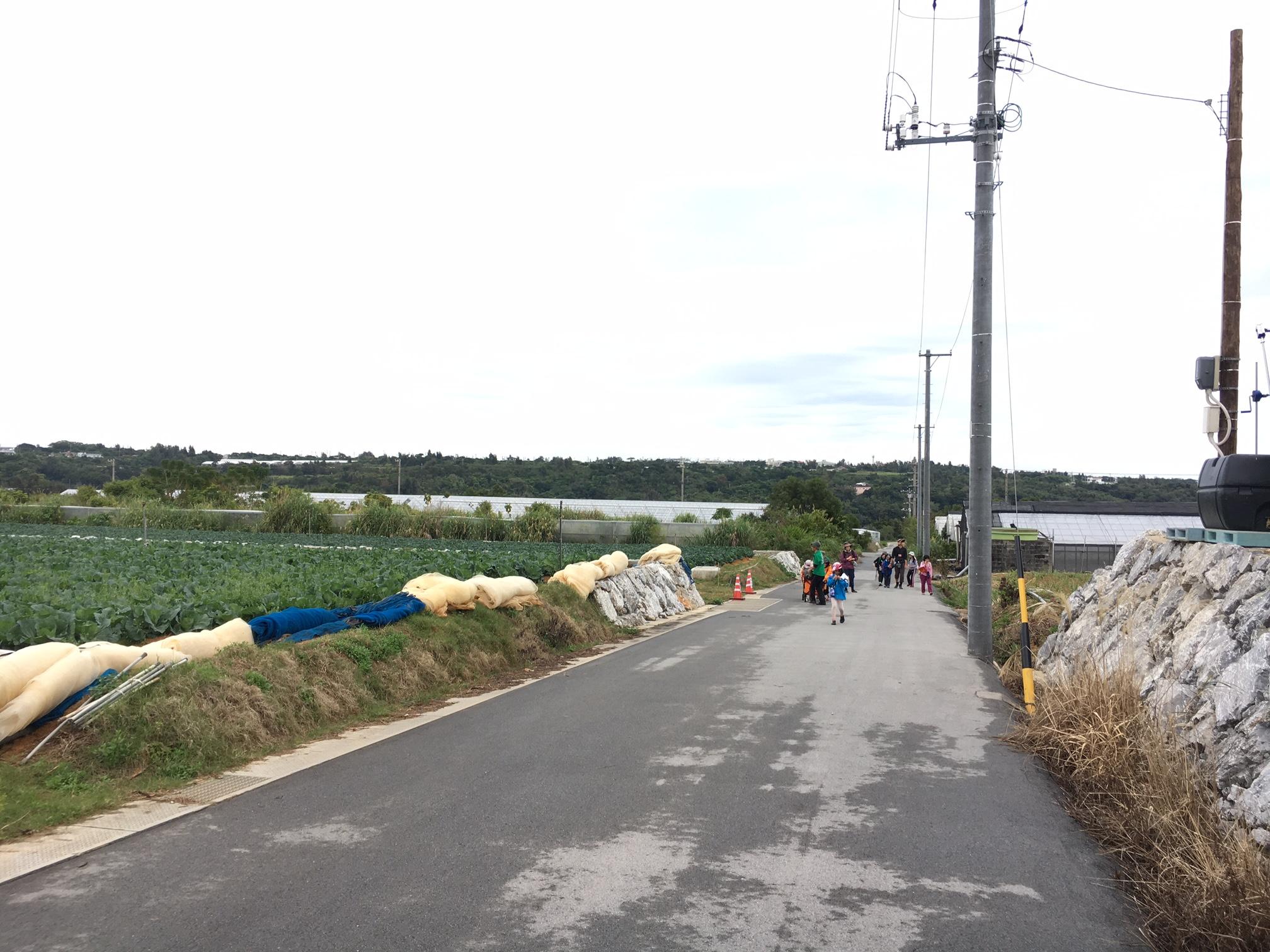 d0363878_18193440.jpg