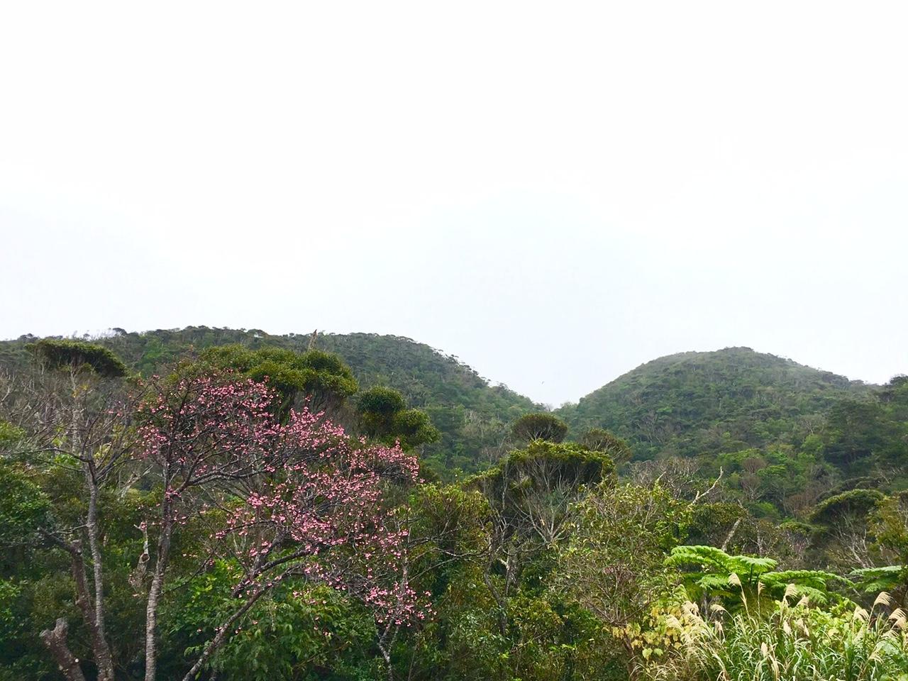 d0363878_18313445.jpg