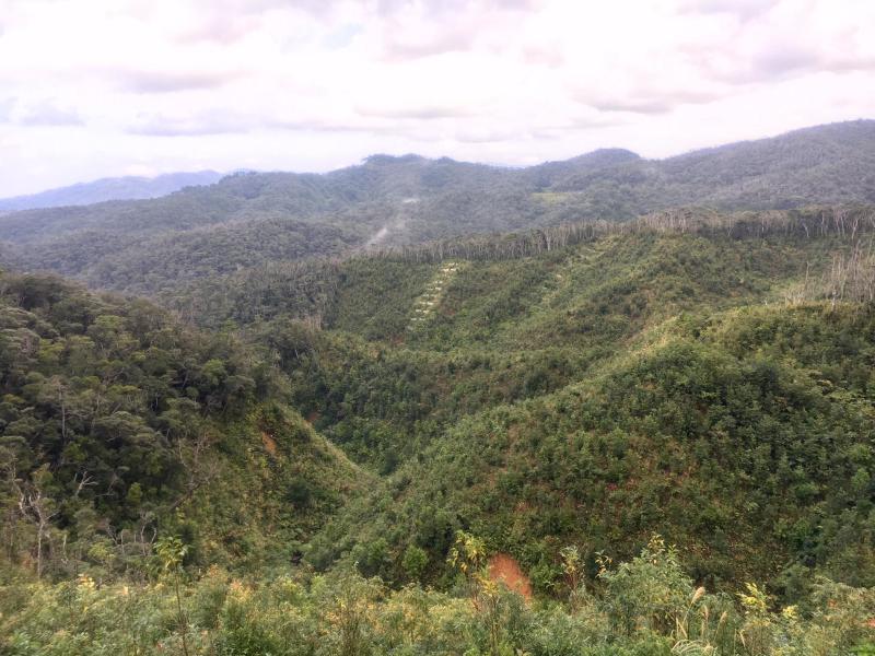 d0363878_18340361.jpg