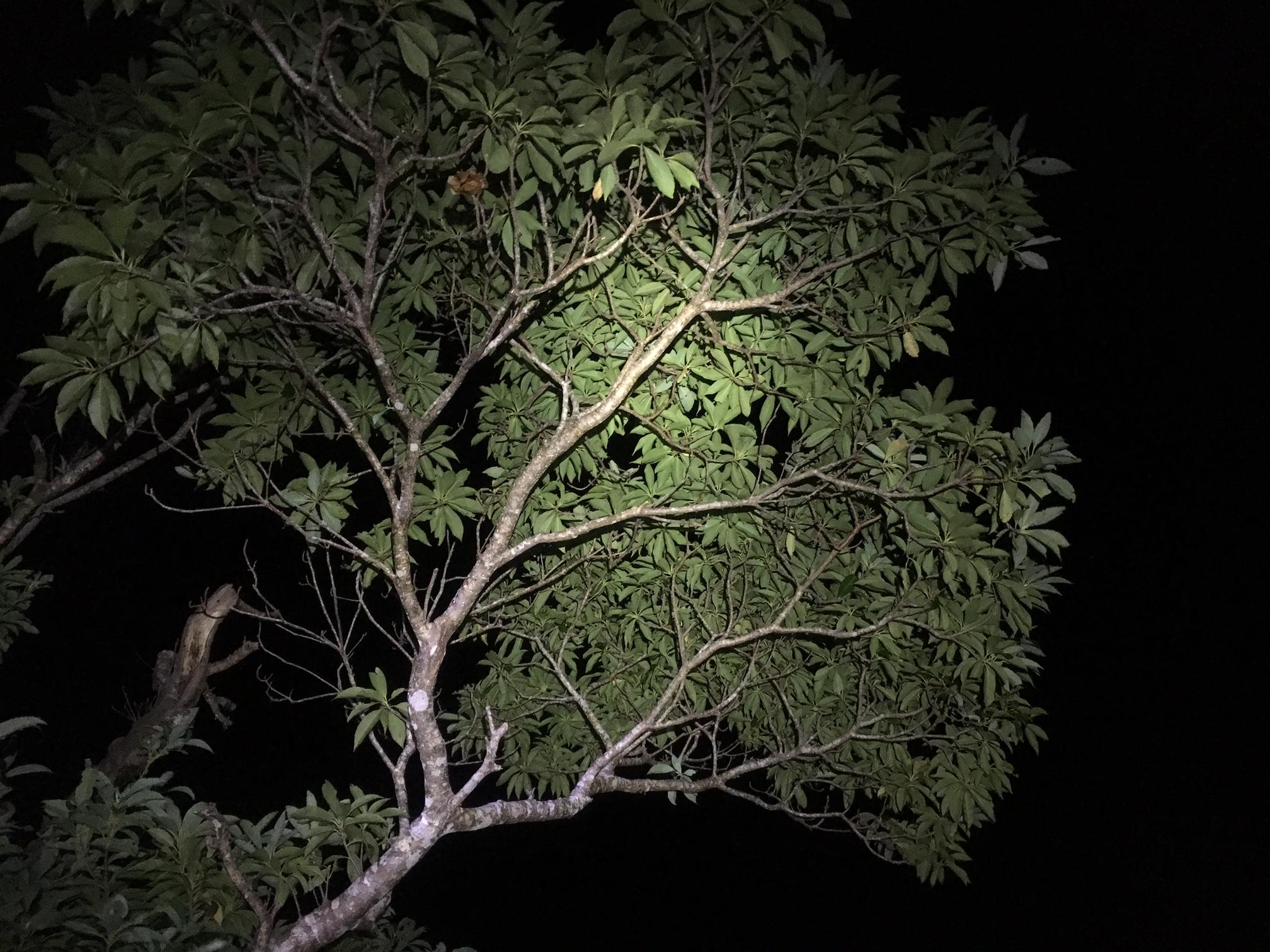 d0363878_18453820.jpg