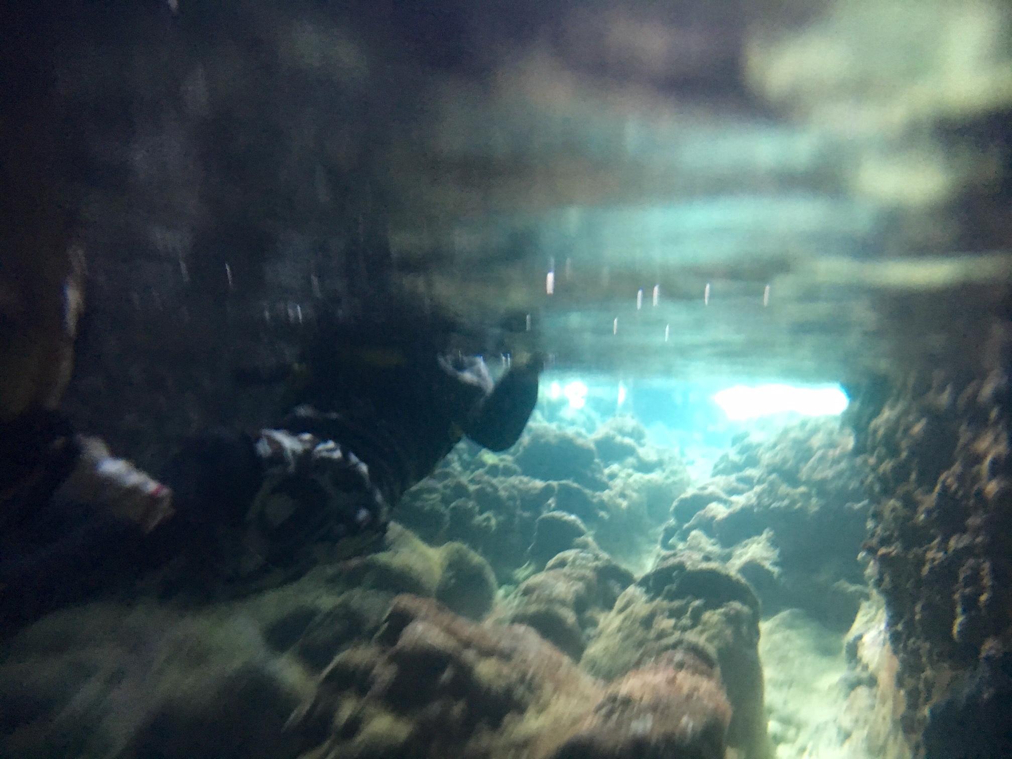 d0363878_19284827.jpg