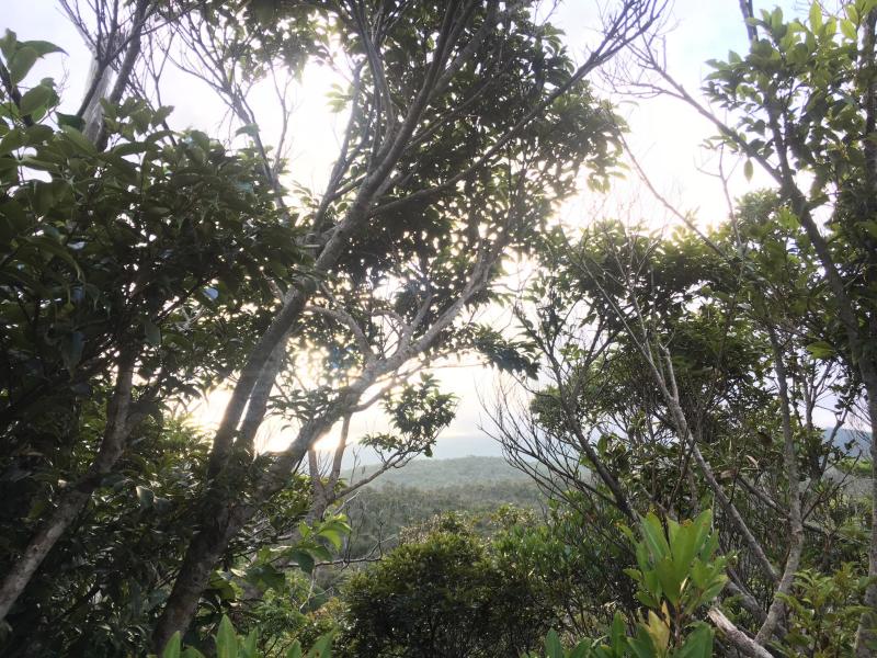 d0363878_19333741.jpg