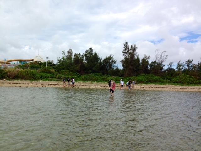 d0363878_21363129.jpg