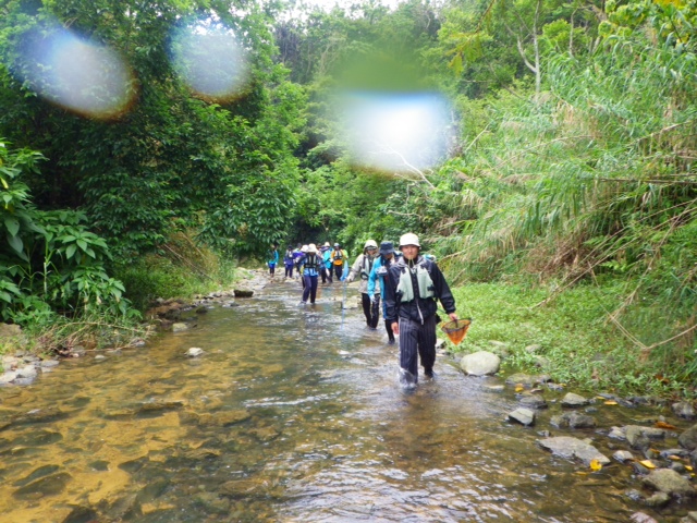d0363878_21580841.jpg