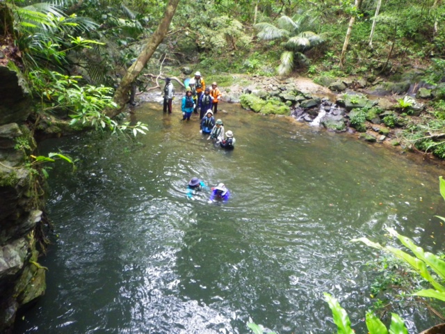 d0363878_21581088.jpg