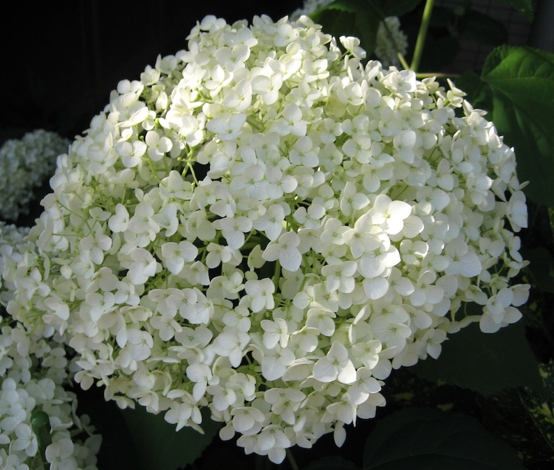 b0057679_07320367.jpg