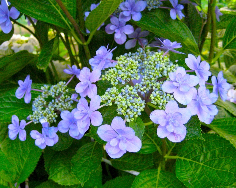 b0057679_07324373.jpg