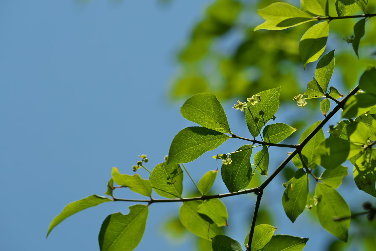 a0083081_17012860.jpg