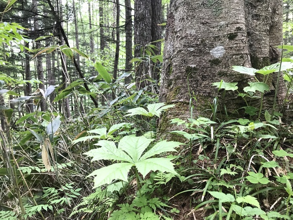 e0024081_20192255.jpg