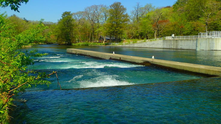 a0242984_23322274.jpg