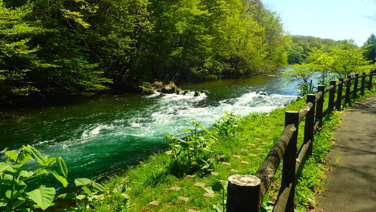 a0242984_23324631.jpg