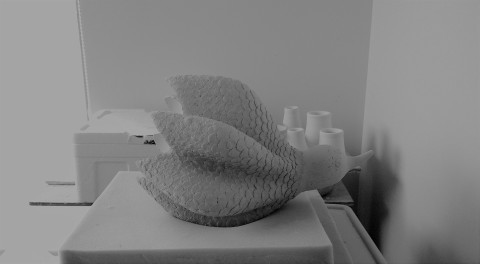 d0117185_09182892.jpg