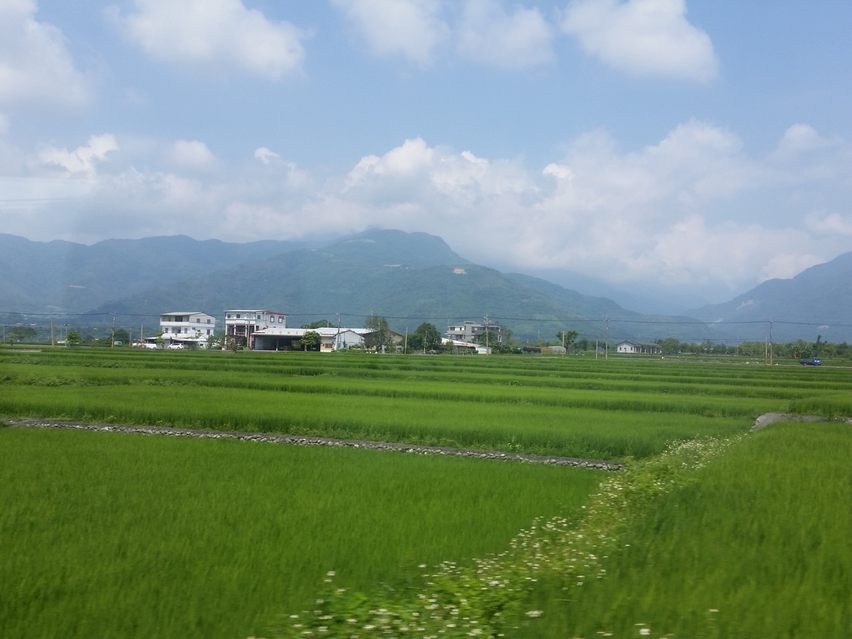 c0013687_08313248.jpg