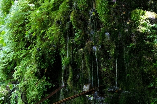b0163088_13361499.jpg