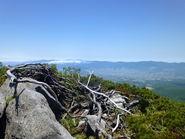 f0171788_15173920.jpg
