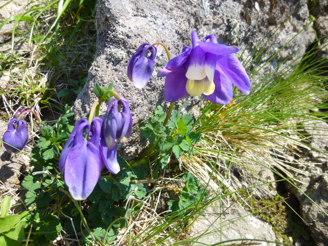 f0171788_15223059.jpg