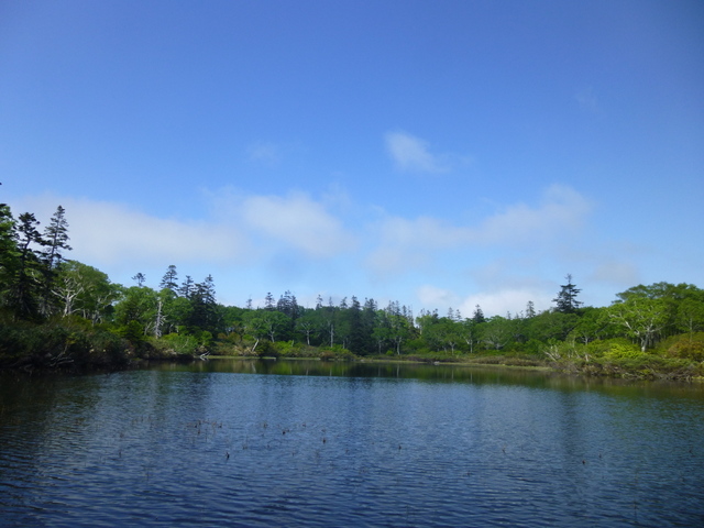 f0171788_1547355.jpg
