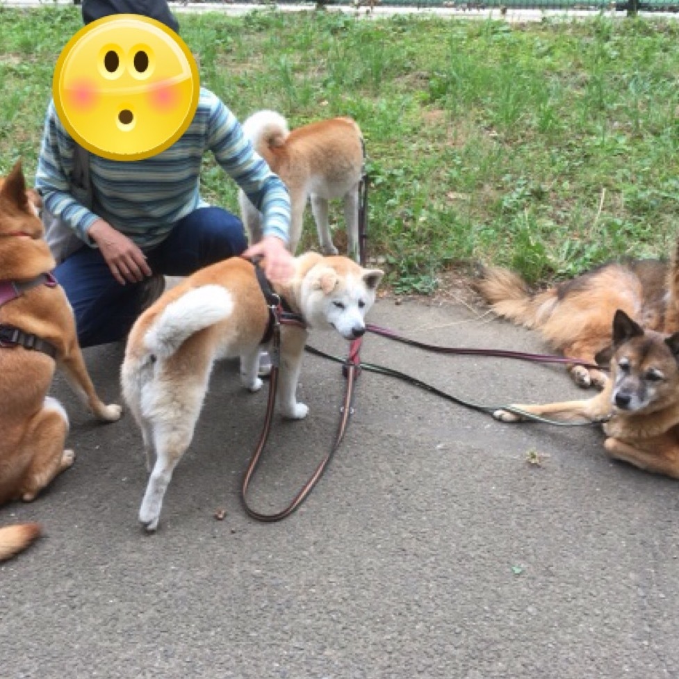 c0123890_20145731.jpeg