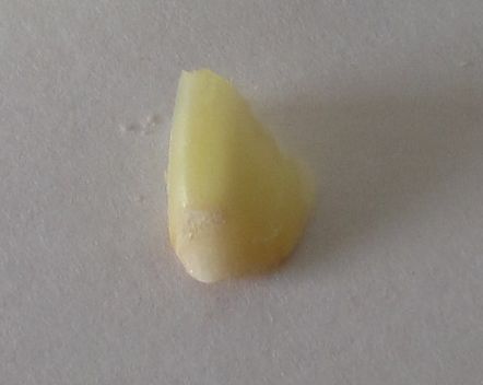 f0234590_11542537.png