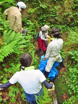 c0336902_17570544.jpg