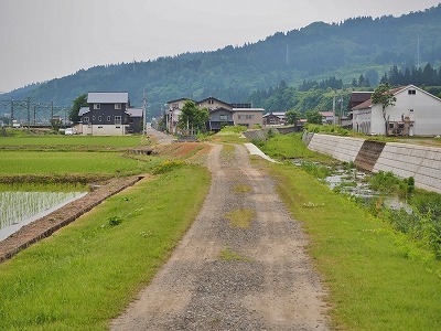 c0336902_19395896.jpg